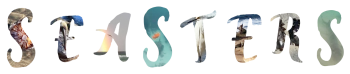 Seasters T-Shirts Logo